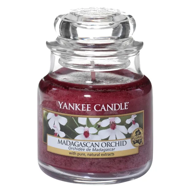 Yankee Candle Madagascan Orchid - Small Jar