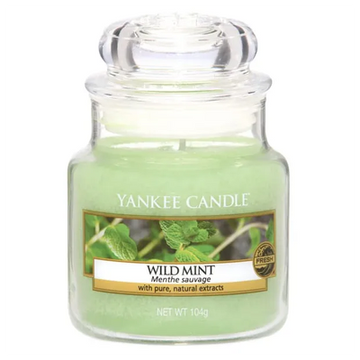 Yankee Candle Wild Mint - Small Jar